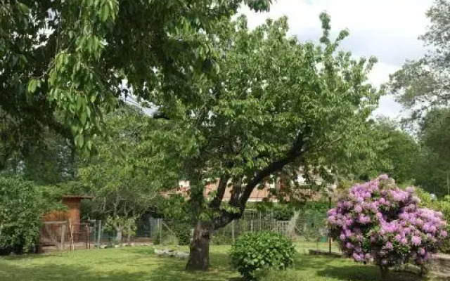 B&B Viale dei Pini