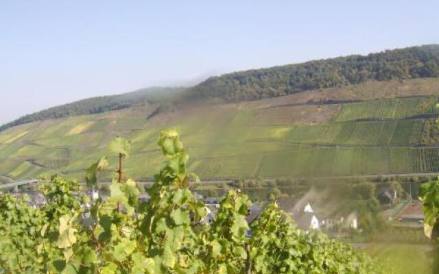 Weingut Matthias Dauns