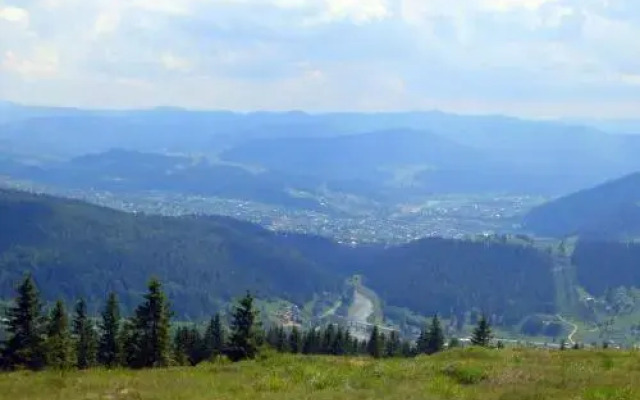 Kozarik