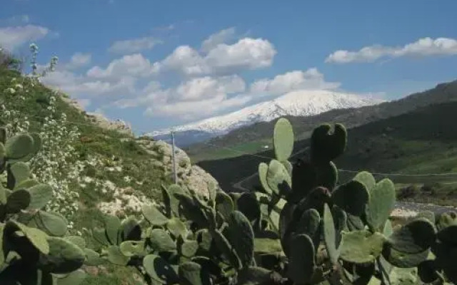 Lo Scudiero Di San Teodoro