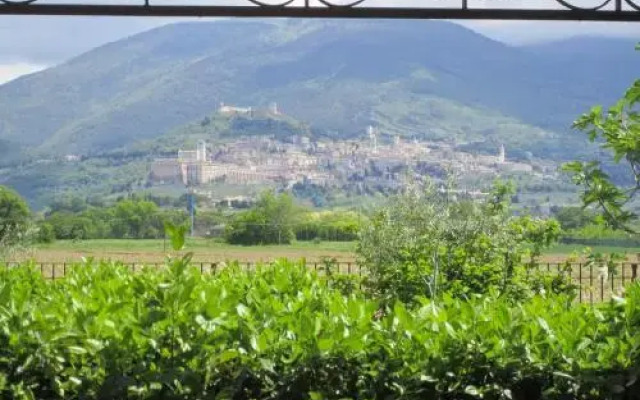 La Strada Di Francesco DAssisi