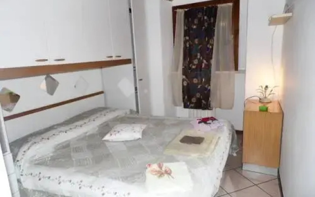 VICOLETTO