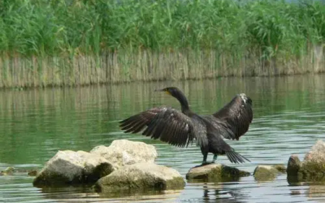DELFIN -Ośrodek Wczasowo Wypoczynkowy