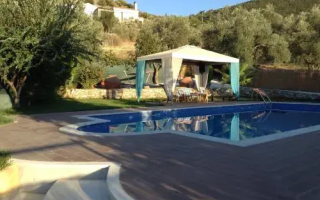 Andriotis Studios