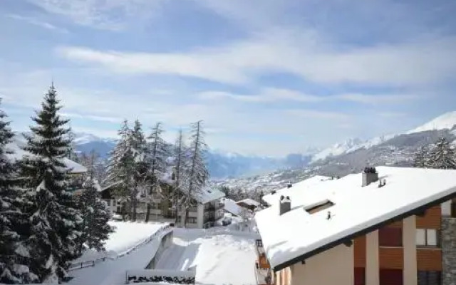 Residence New Forest Crans Montana