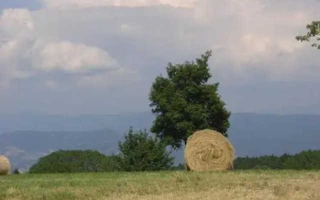 Agriturismo Girasole