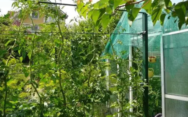 Villa-Erika Apartman