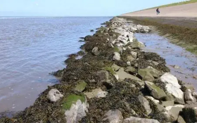 Sea La Vie