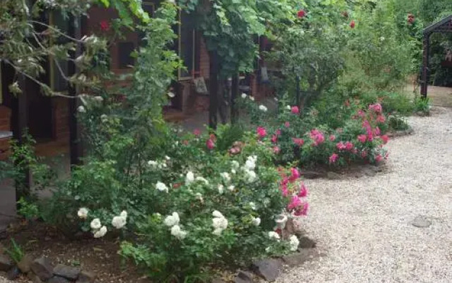 Maldon's Eaglehawk Motel