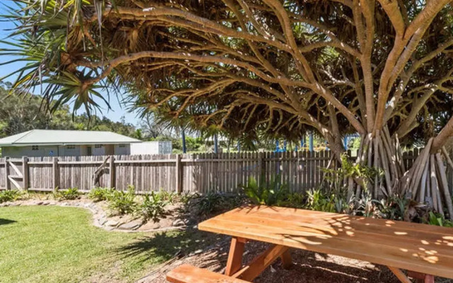 Pandanus On Emerald