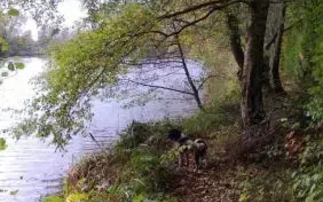 La cabane sur l'eau