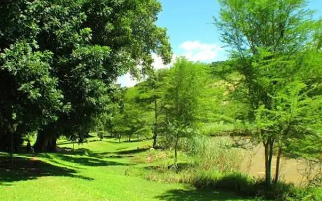 Sanbonani