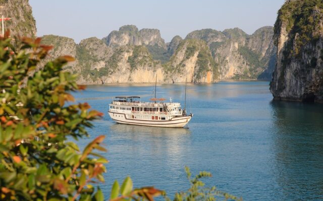 Dragon Bay Cruises