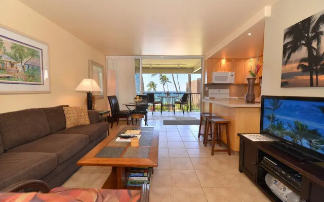 Hale Ono Loa #316 by RedAwning