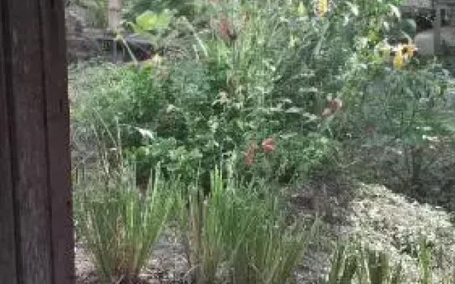 Casa Quijote Boutique Hostel and Restaurant