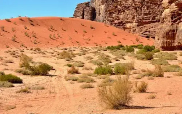 Salma Desert Camp