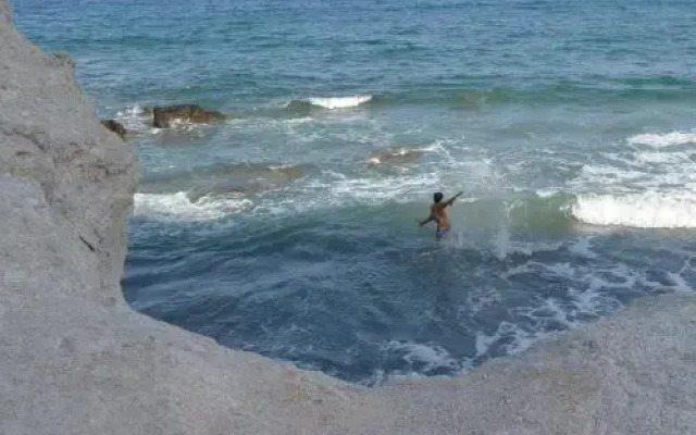 La Posidonia