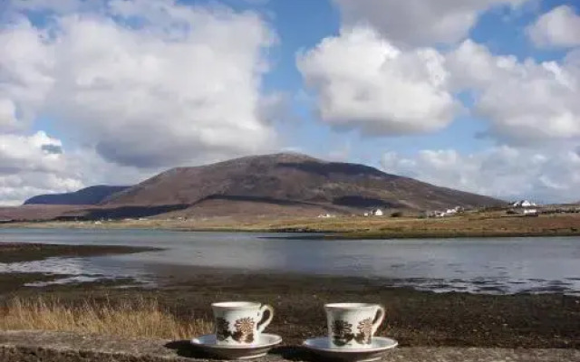 Bleanaskill Lodge & Achill Secret Garden