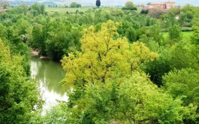 Podere Santo Stefano