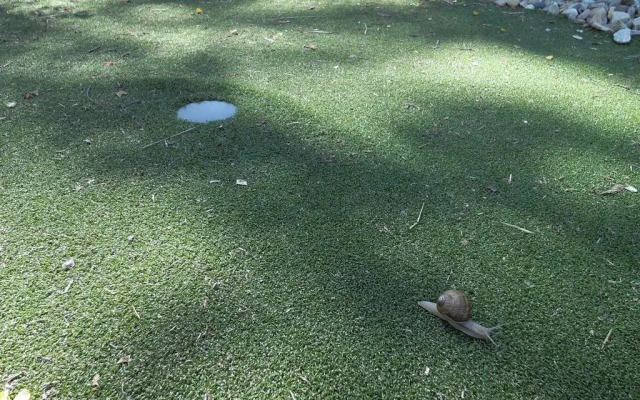 SRDEČNÁ - rodinný penzion a restaurace