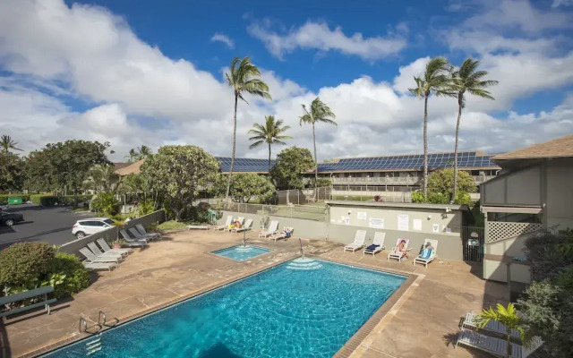 Kihei Bay Surf #257 - Studio Br Condo