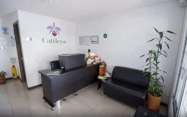 Hostal Cattleya Medellin
