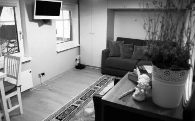 Skruzdynės Apartamentai