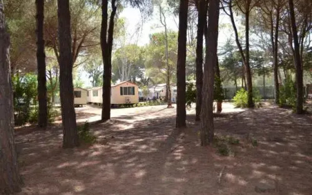 Giannella Camping