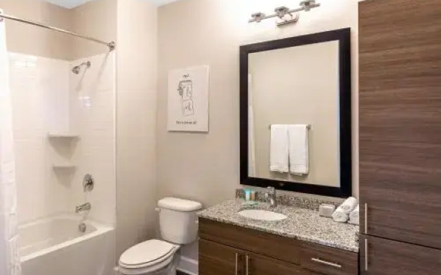 Stay Alfred on Morehead