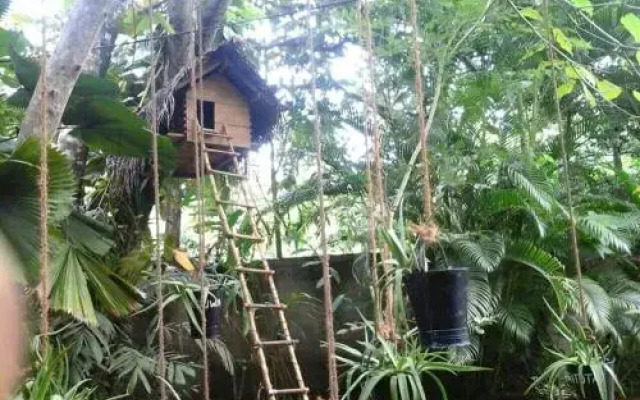Nadi Villa