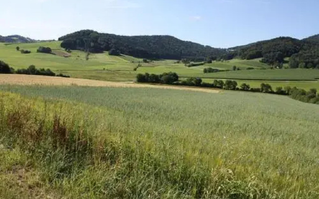 Ferienhaus Natur