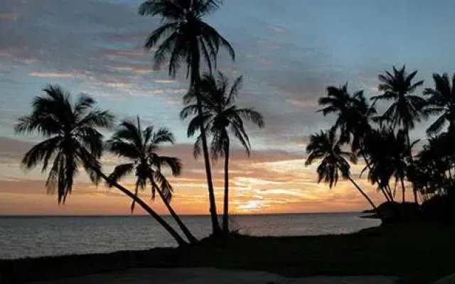 Molokai Shores 223