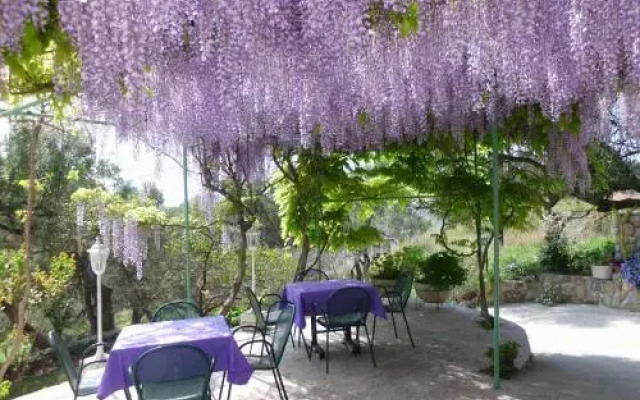 Rooms Vukušić