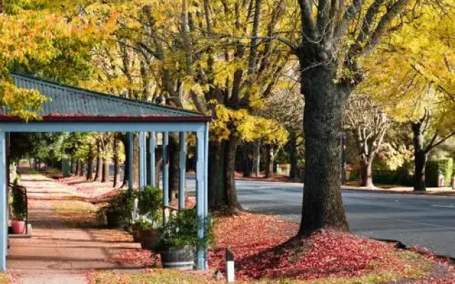 Rubys Garden Cottage