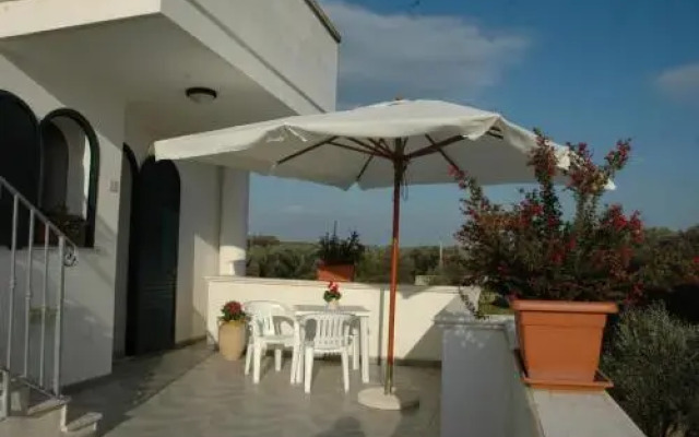 Azienda Agrituristica B&B La Torre