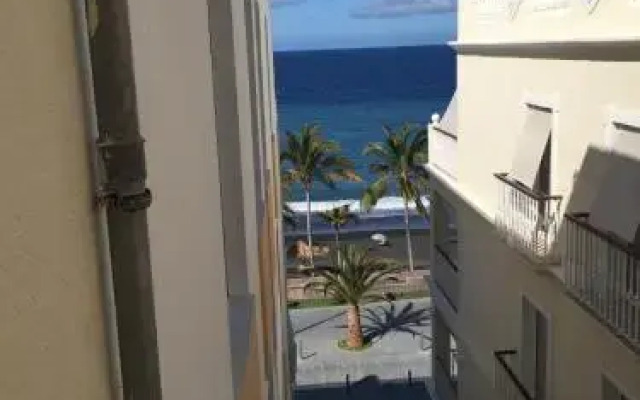 Palma Sun