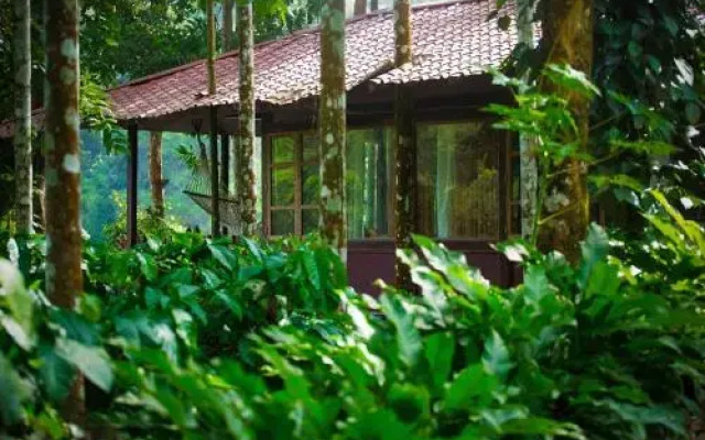 Shanthi Kunnj Homestay