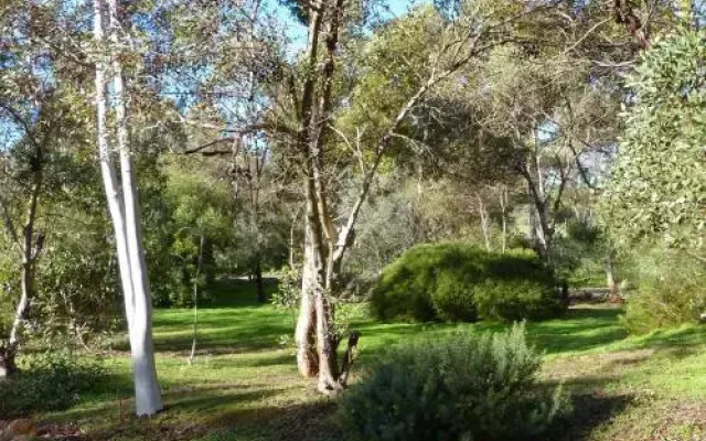 Watervale Retreat