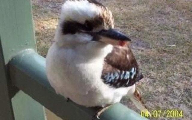 Goomburra Forest Retreat