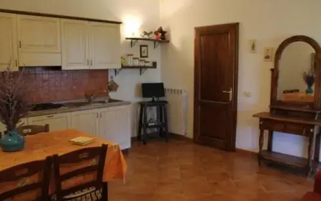Agrisantanna