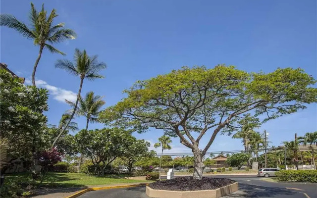 Maui Vista 1109 1 Br Condo
