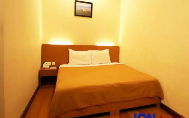 Ion Hotel
