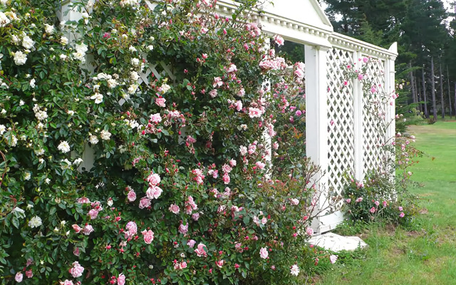 The Stablehand Quarters at Gunyah