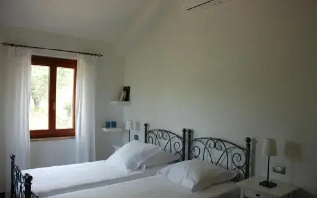 Profumo delle Marche