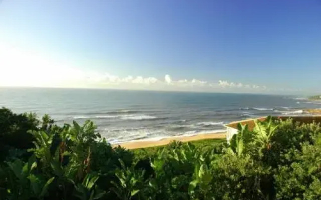 Albatross Guest House