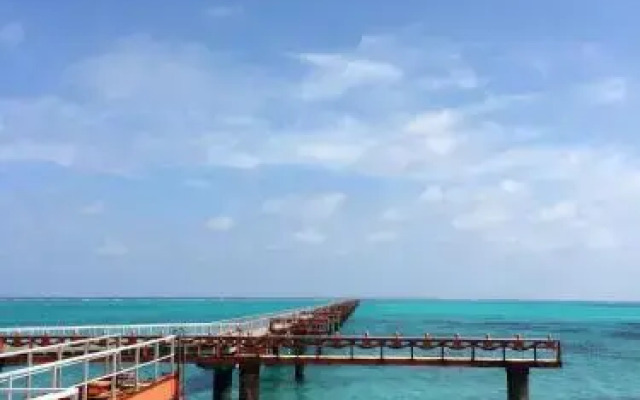 CityLife miyako L'avenir