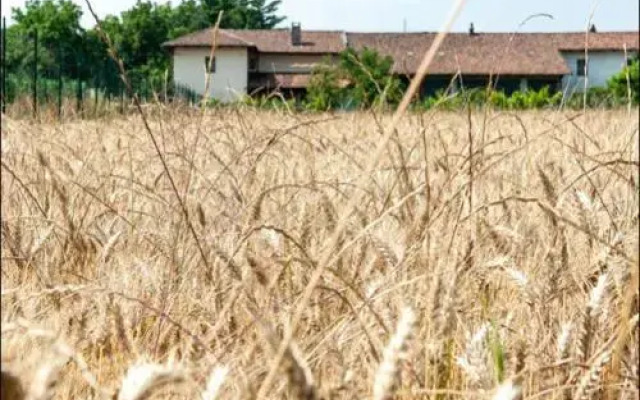 B&b Antica Dimora Quarello