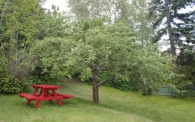 Sunny Bluffs Chalets