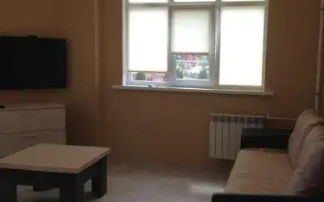 Apartment Zarechye