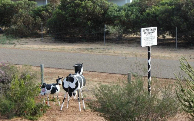The Two Tin Cow B&B